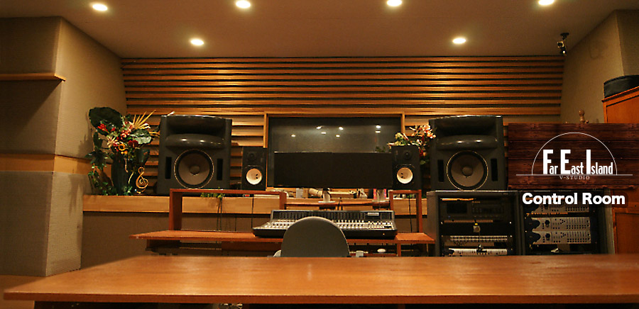 FEI V-Studio